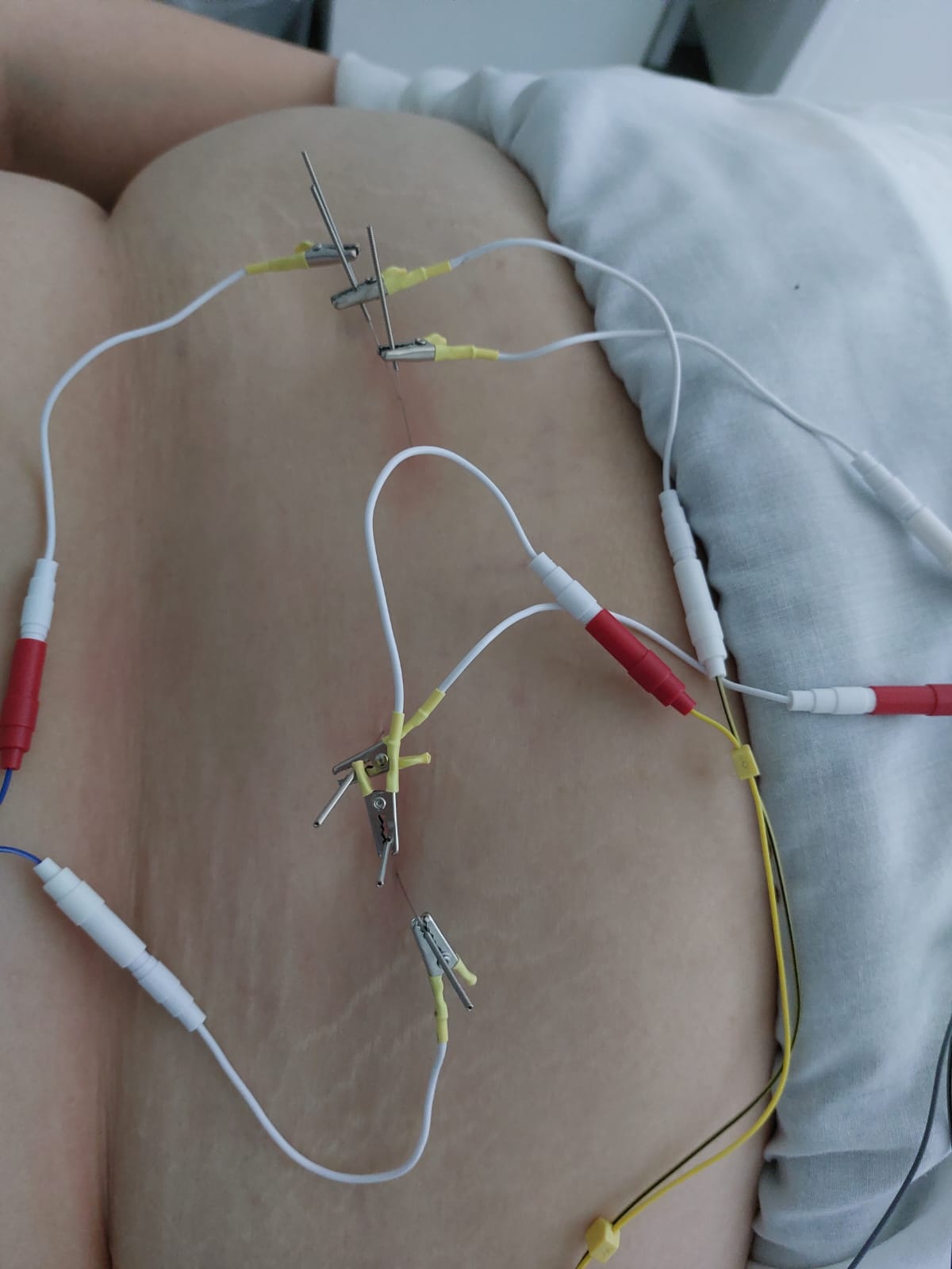 IMG-20250219-WA0016 (1) IMG-20250219-WA0016 (1)