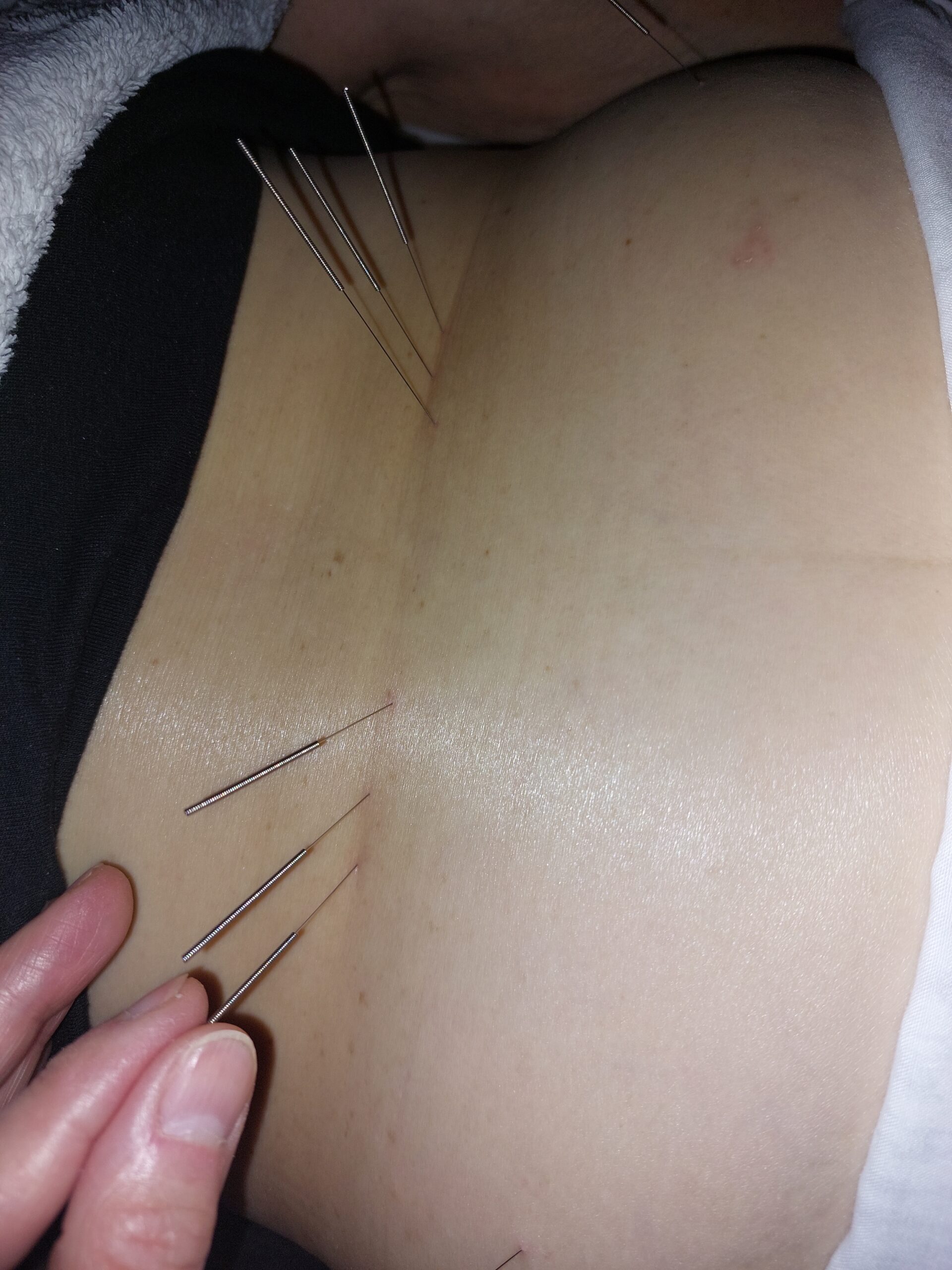 20250220_094955 20250220_094955